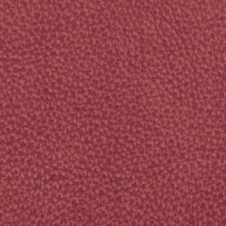 Sierra 2070-58 Himbeere